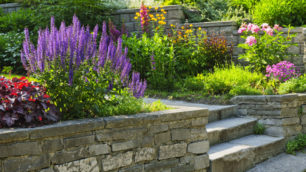 landscape-services-by-landscaping-contractors-and-designers