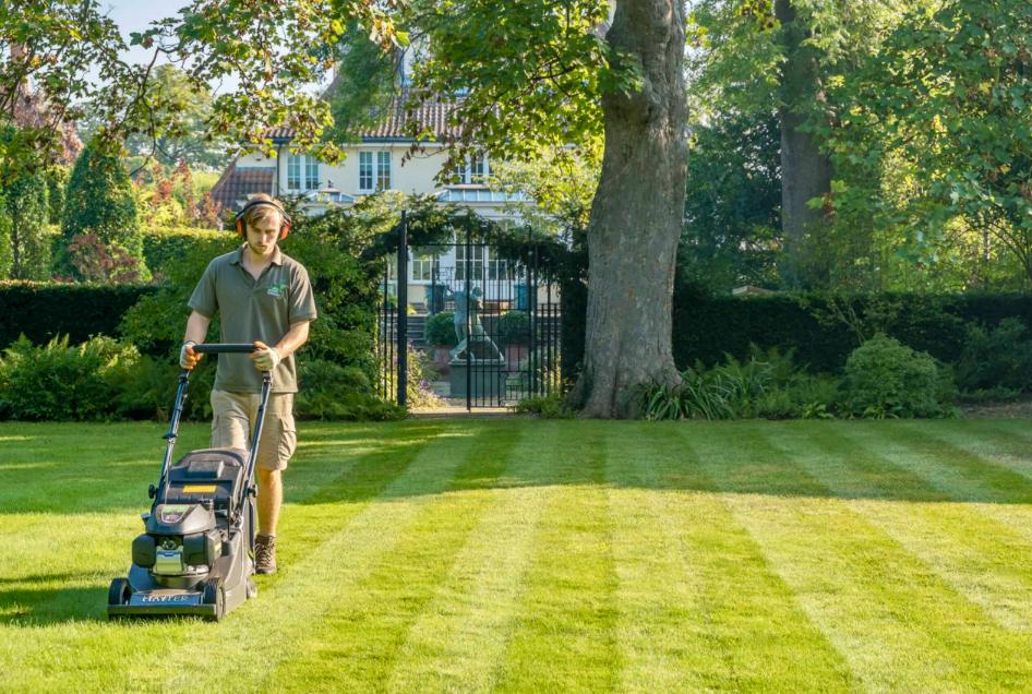 Garden Services in Sydney: What to Expect?